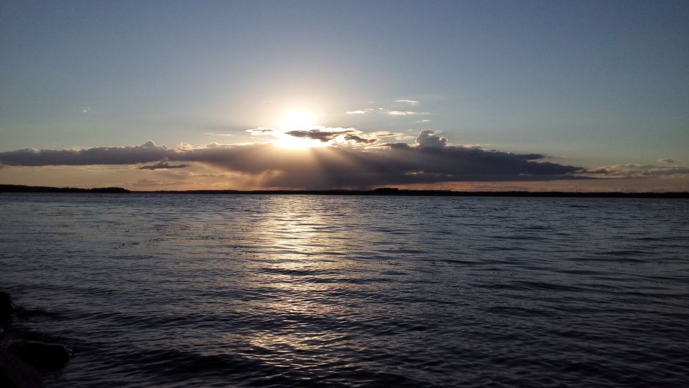 Photo #2308139
