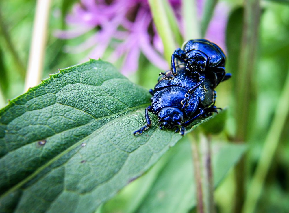 Photograph by Сергей Кубанов