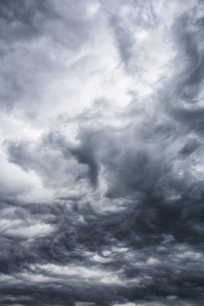 Черный дракон.