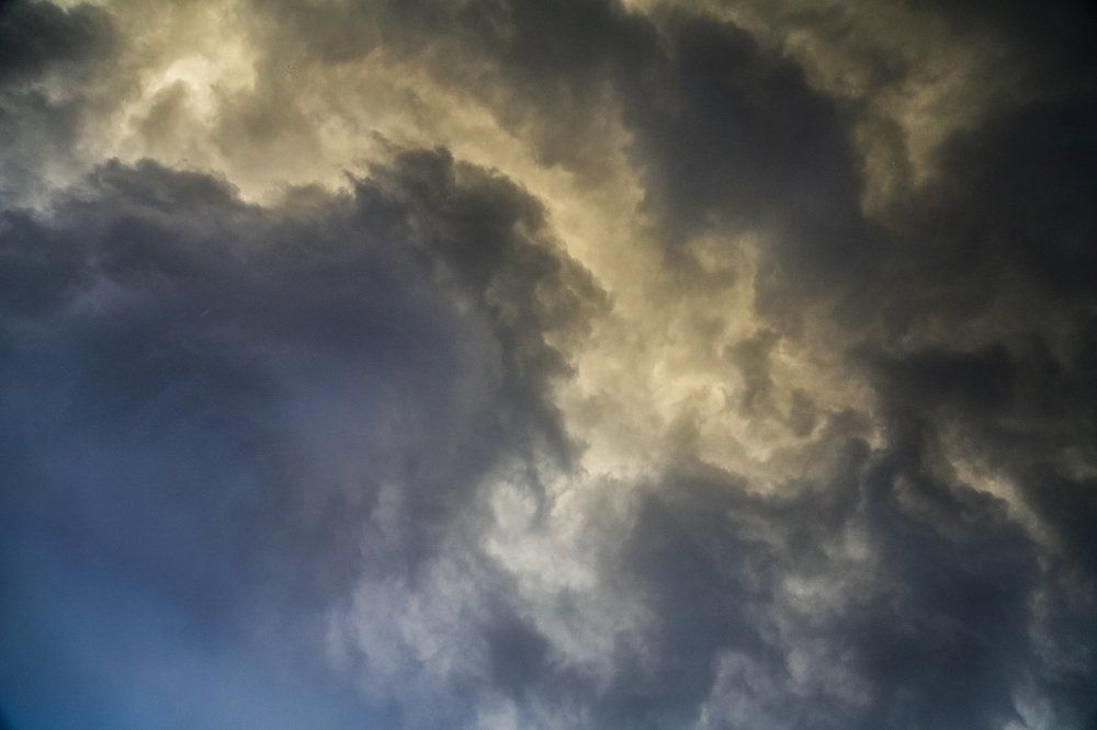 Яростный Лев.