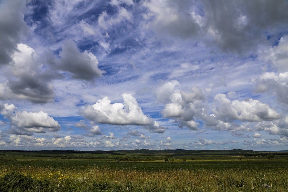 Облачные пастбища.