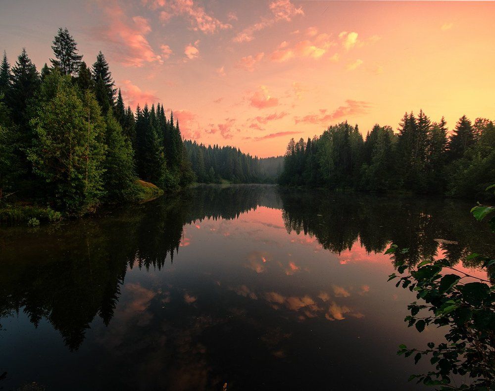 Яркие краски утра