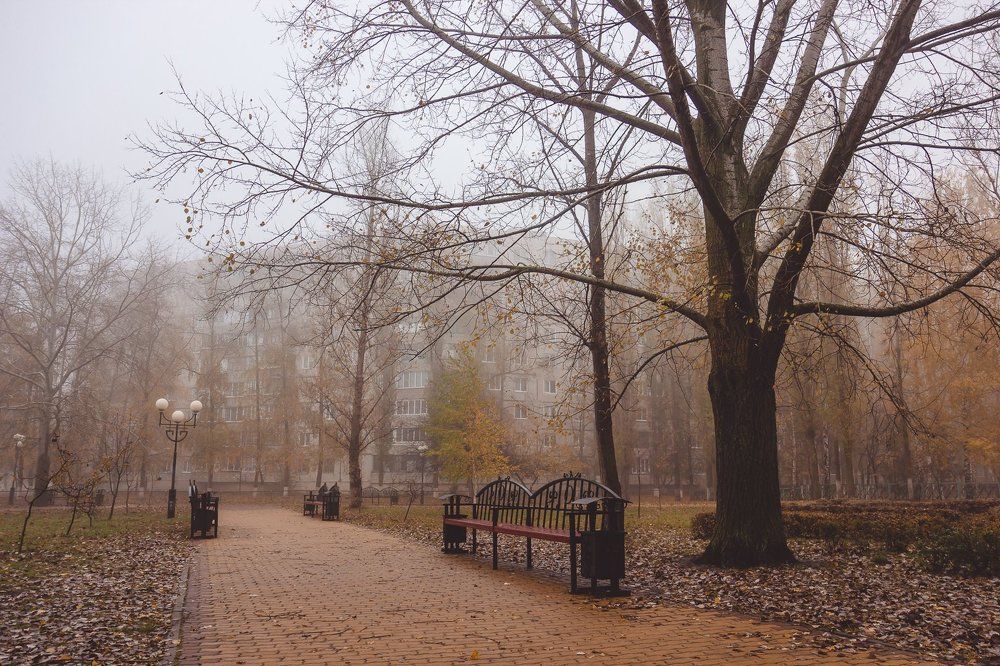 Осенний парк