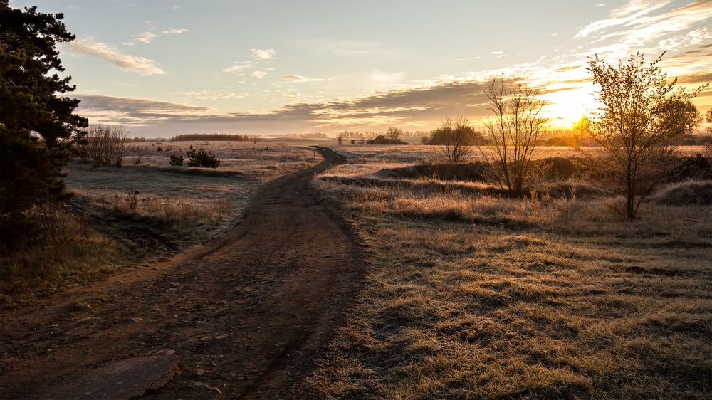 А дорога узкою лентою вьется...