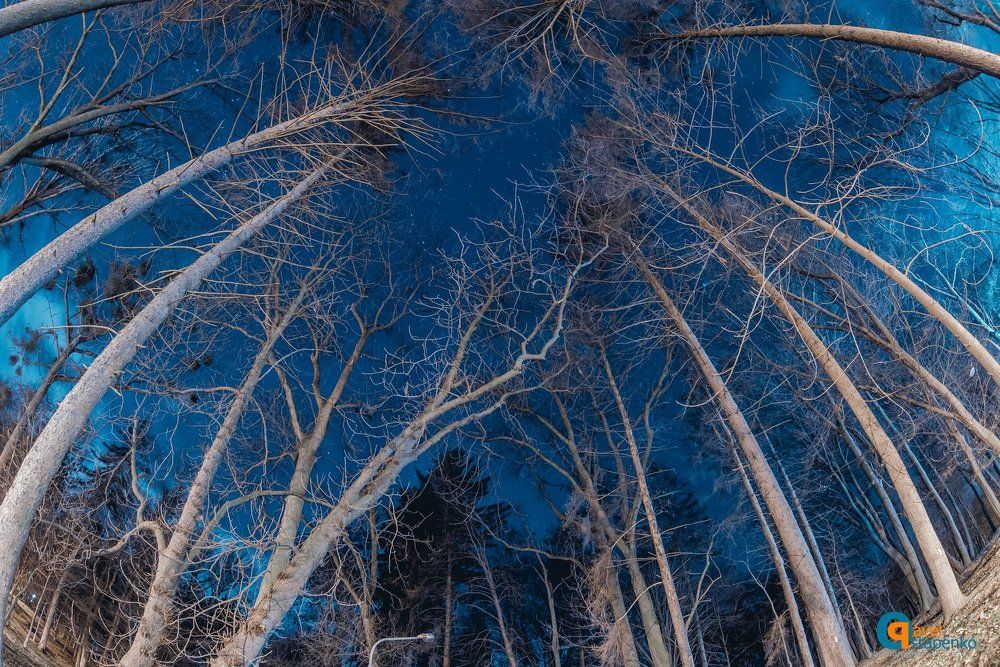 Photograph by Павел Остапенко