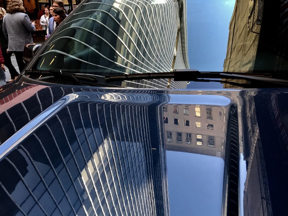 Автомимикрия