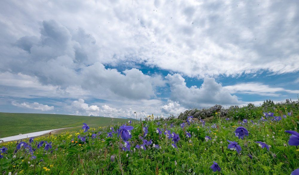 Весенняя безмятежность