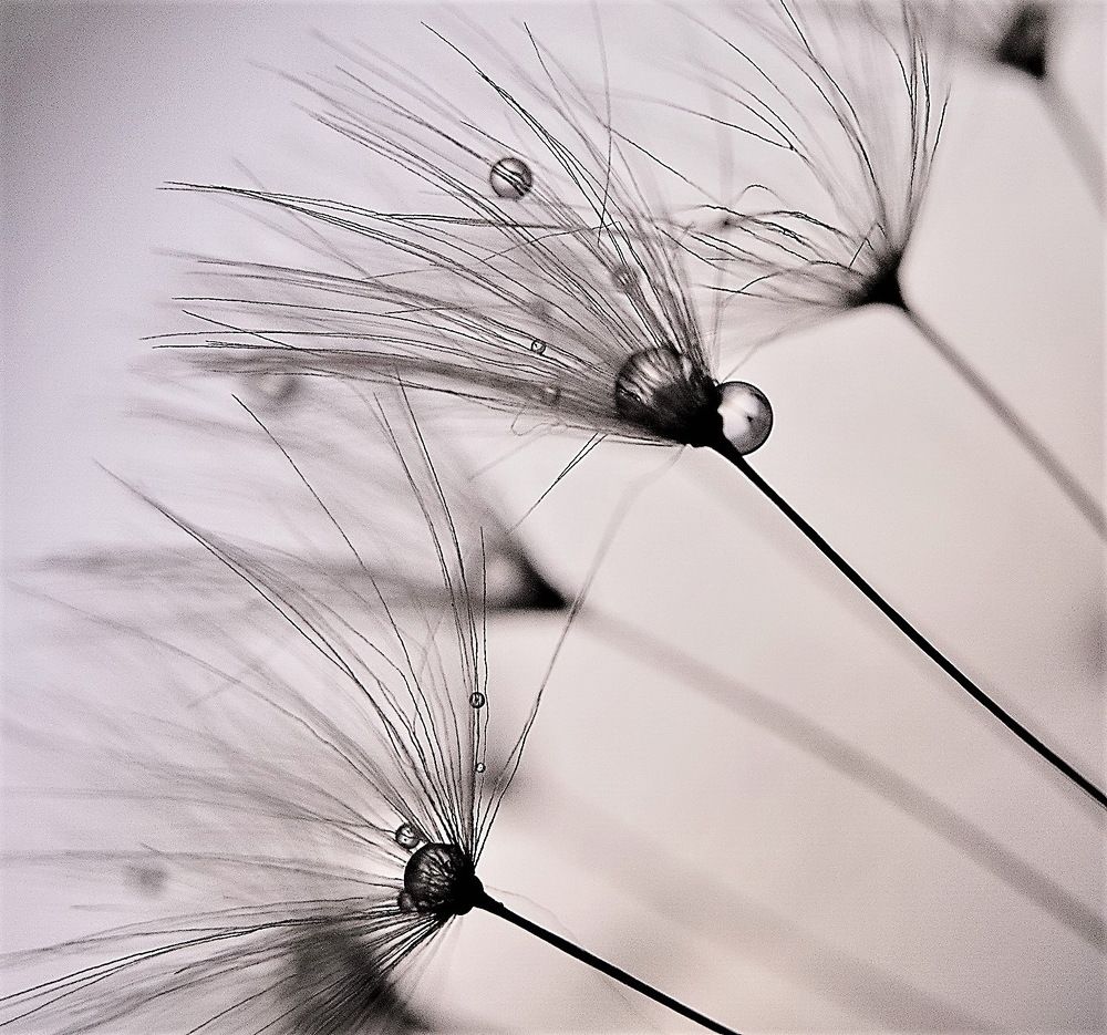 Photograph by Игорь Гомельский