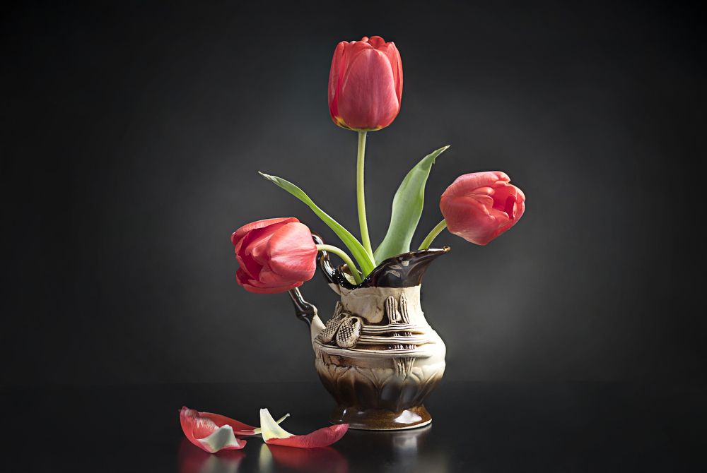 Photograph by Владимир Парадный