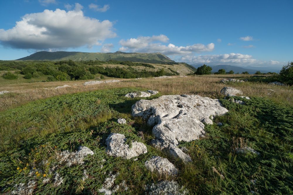 Photograph by Елена Ковригина