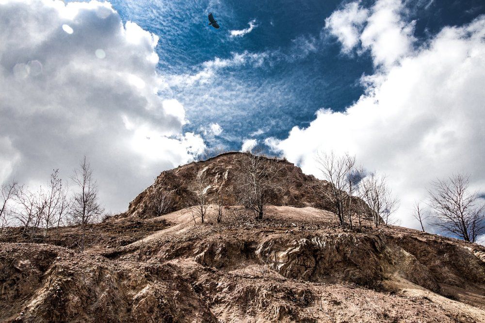 Photograph by Дмитрий Медянников