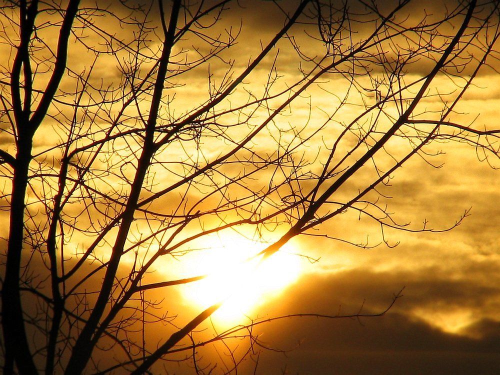 Апокалипсис сегодня. А впрочем, так каждый вечер...