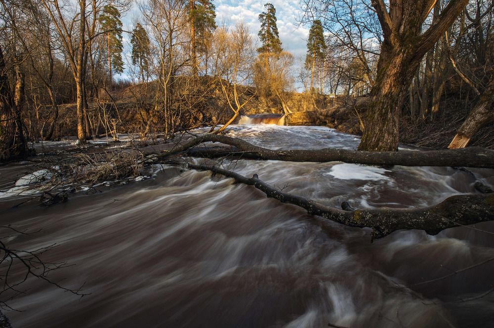 Весенний поток