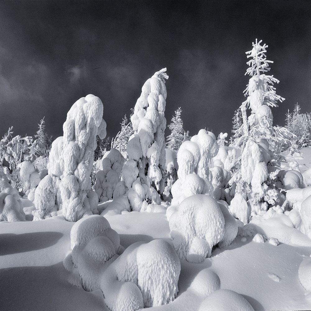 Зимний пейзаж