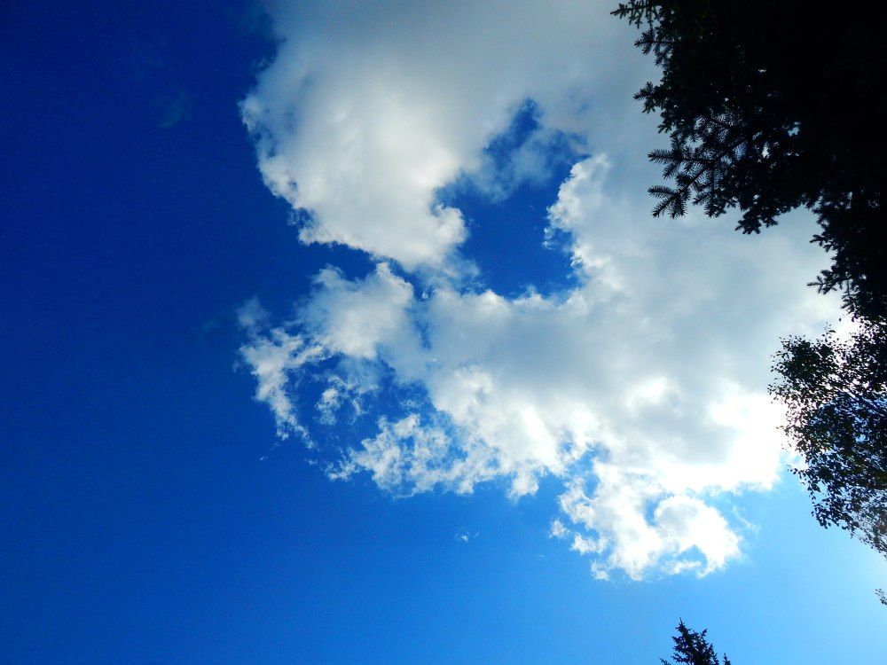 Погоня за неведомым