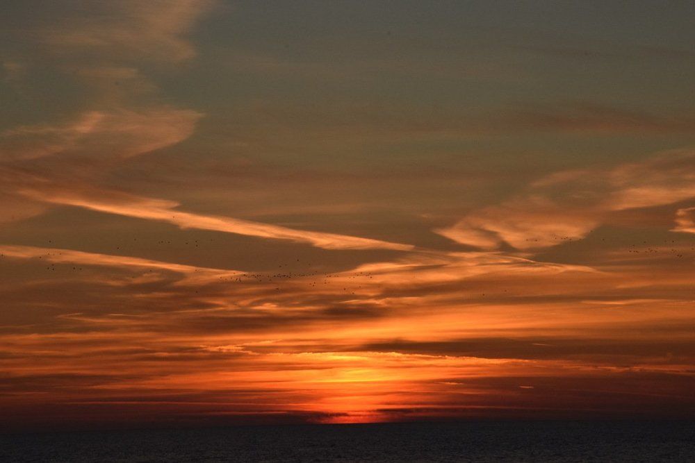 Сочи в январе