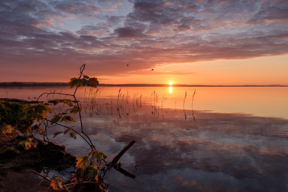 "Яркие краски рассвета"