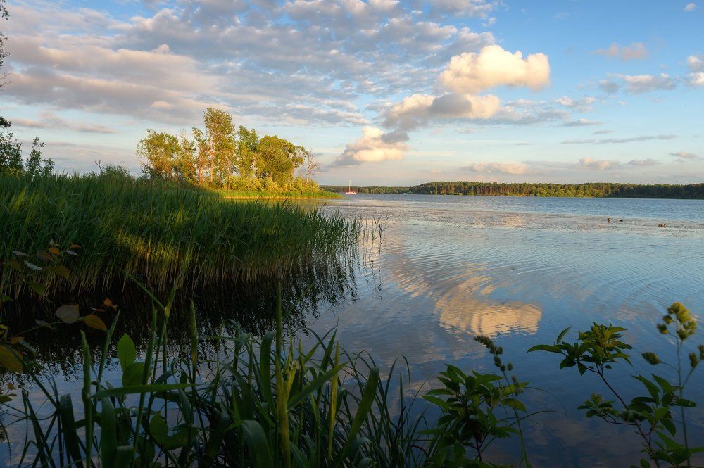"Алые паруса"