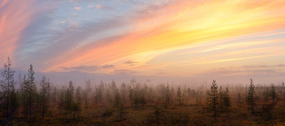 Карельским утром