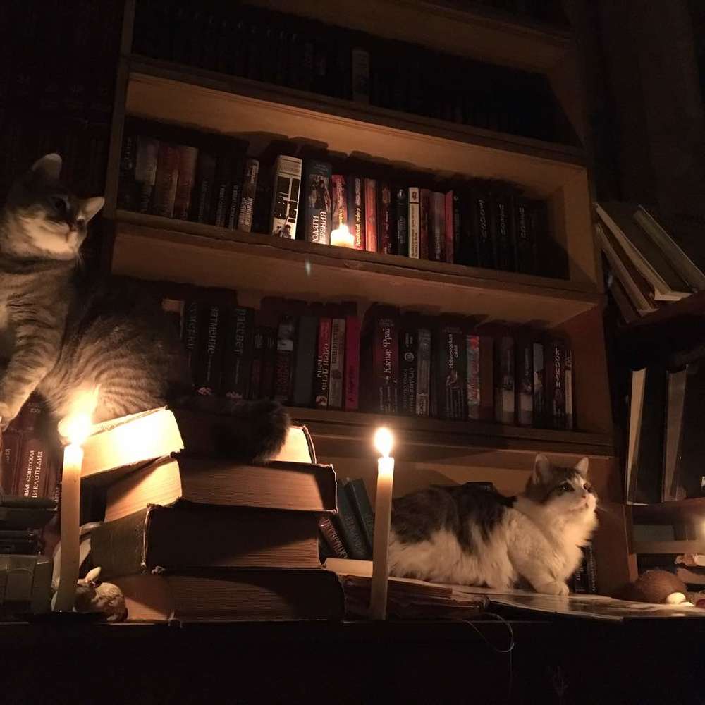 Гремлин и Принц