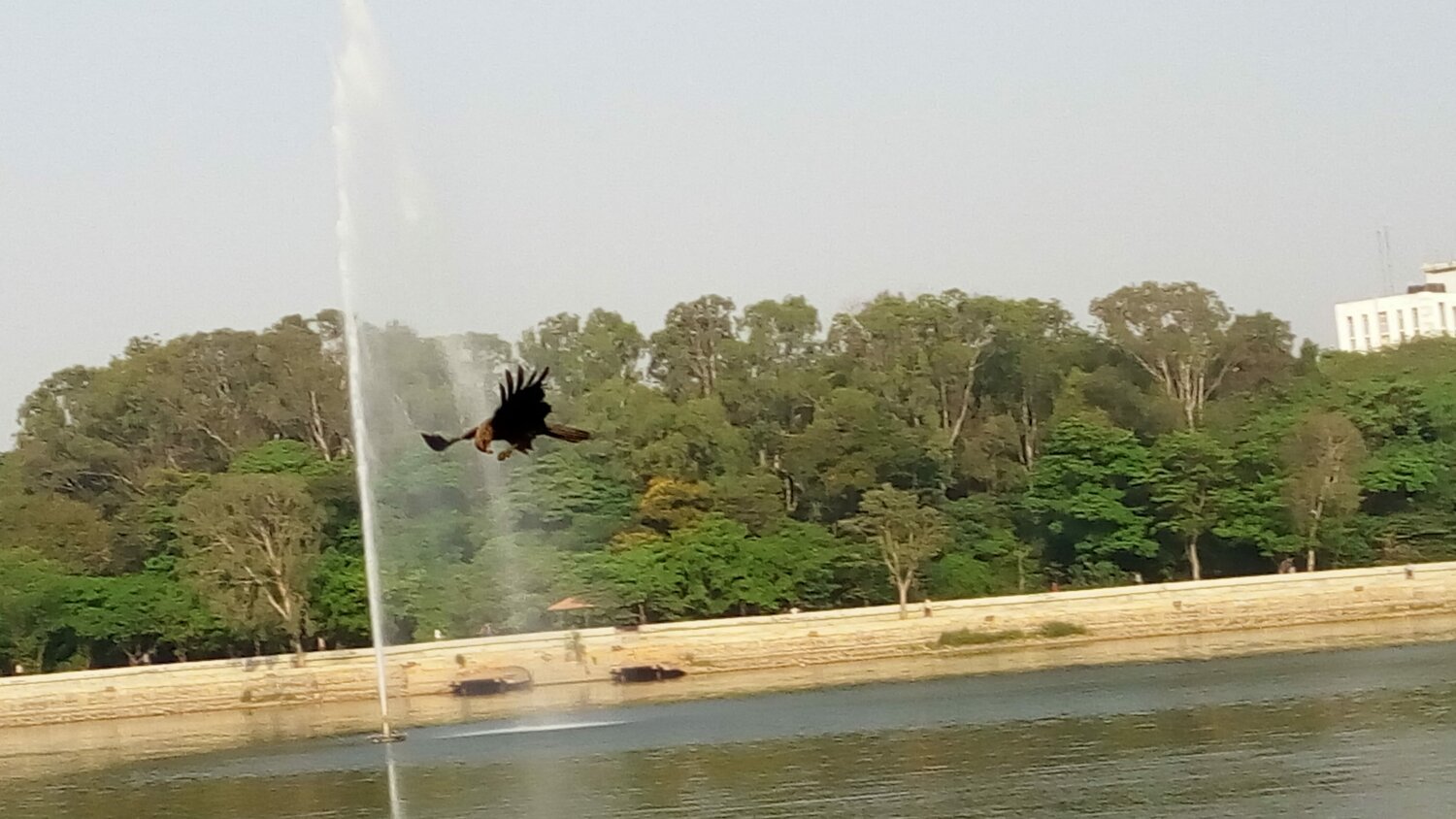 The flight