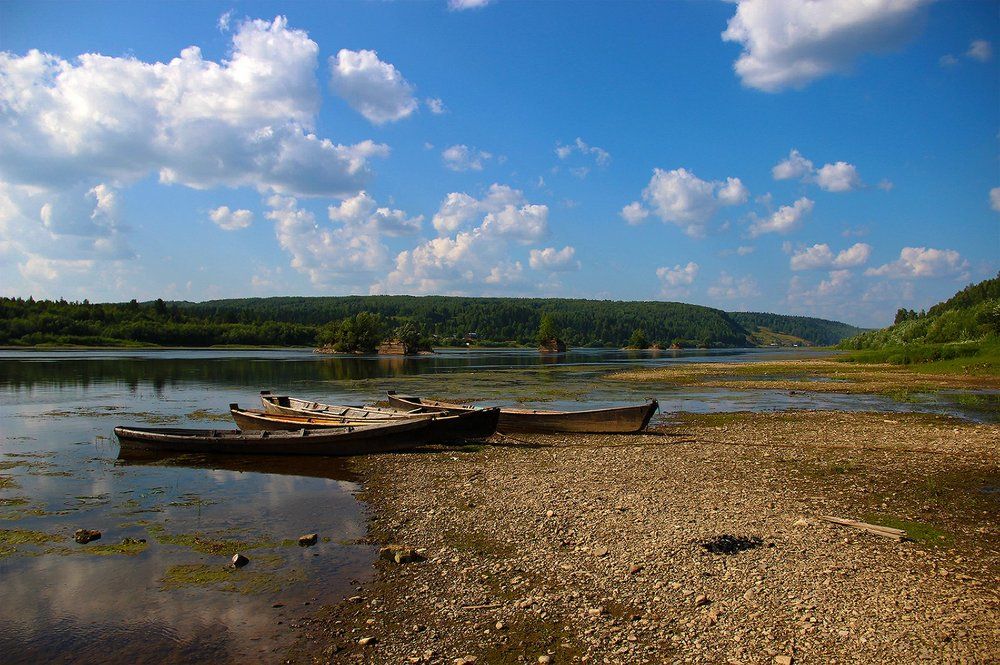 Вишера