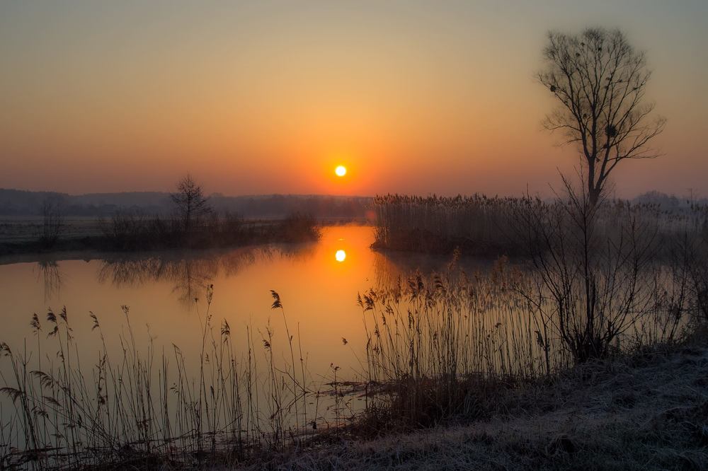 Рассветы на мже