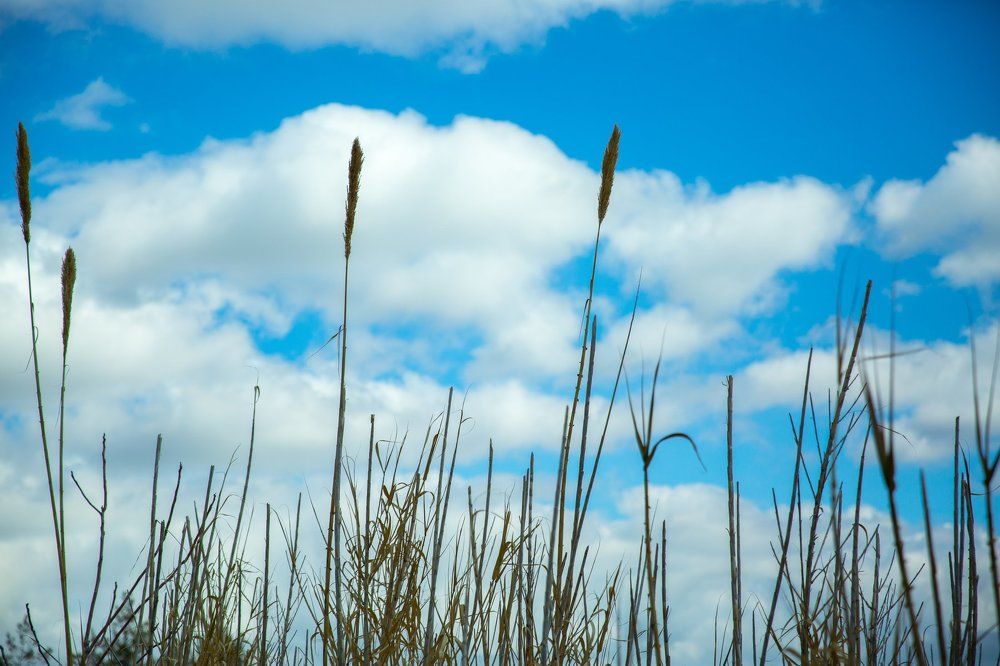 Photograph by Evgeniya Biriukova