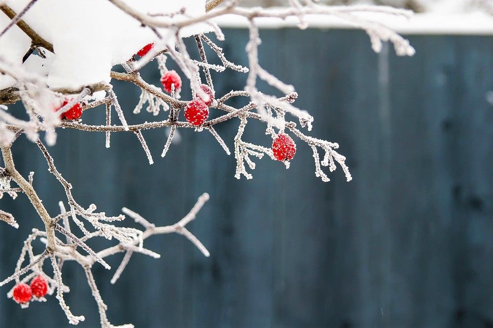 Photograph by Ирина Решетникова