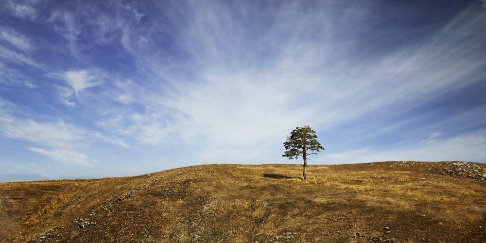 Вся прелесть одиночества