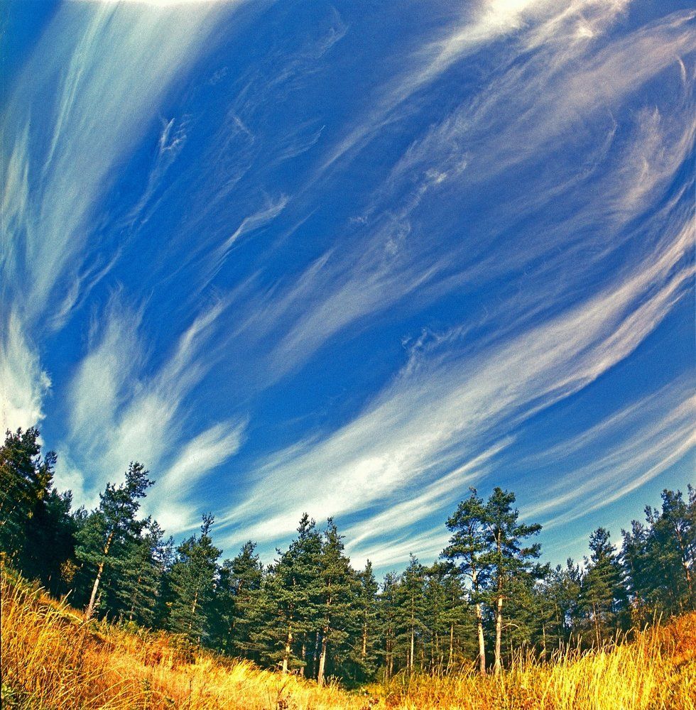 Обнимая небо!