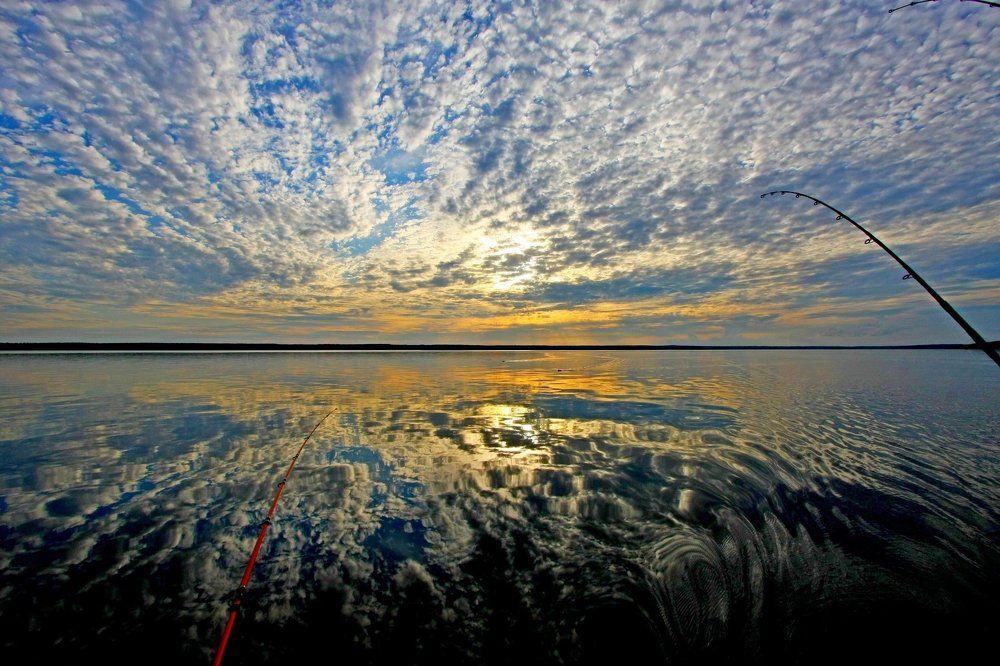 Рыбалка на Пертозеро.