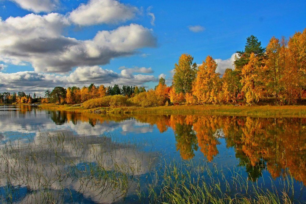 Озеро Кончезеро.