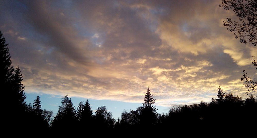 Photograph by Светлана Куницына