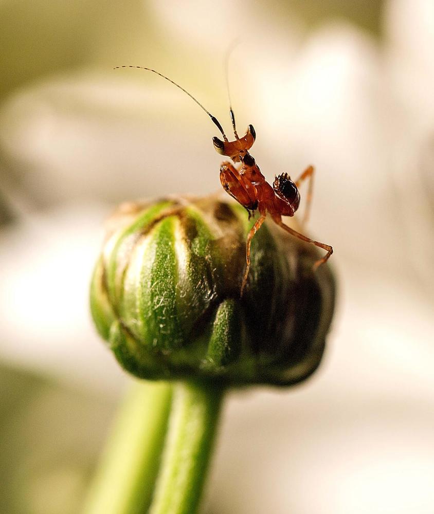 Устал от танцев.