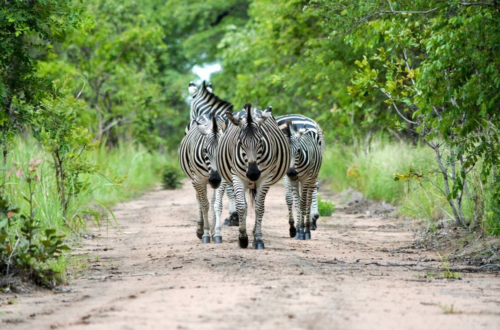 Walk along the Dusty roads