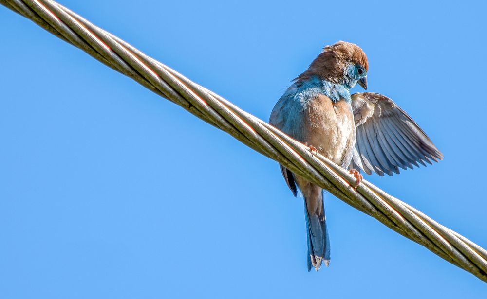 I am handsome and I know it!