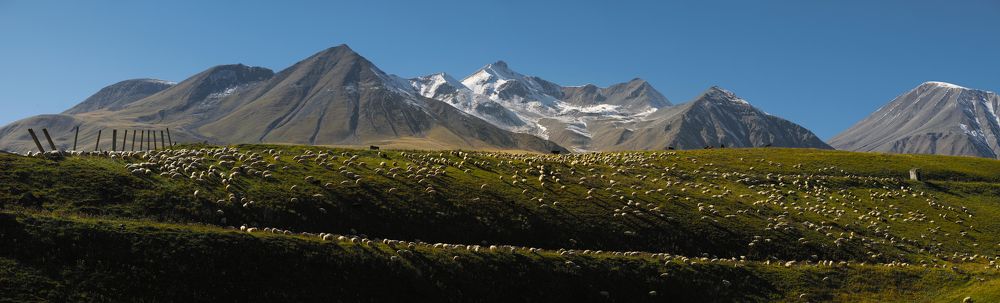 Photograph by samoilov