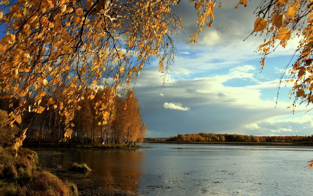 Распустила осень косы...