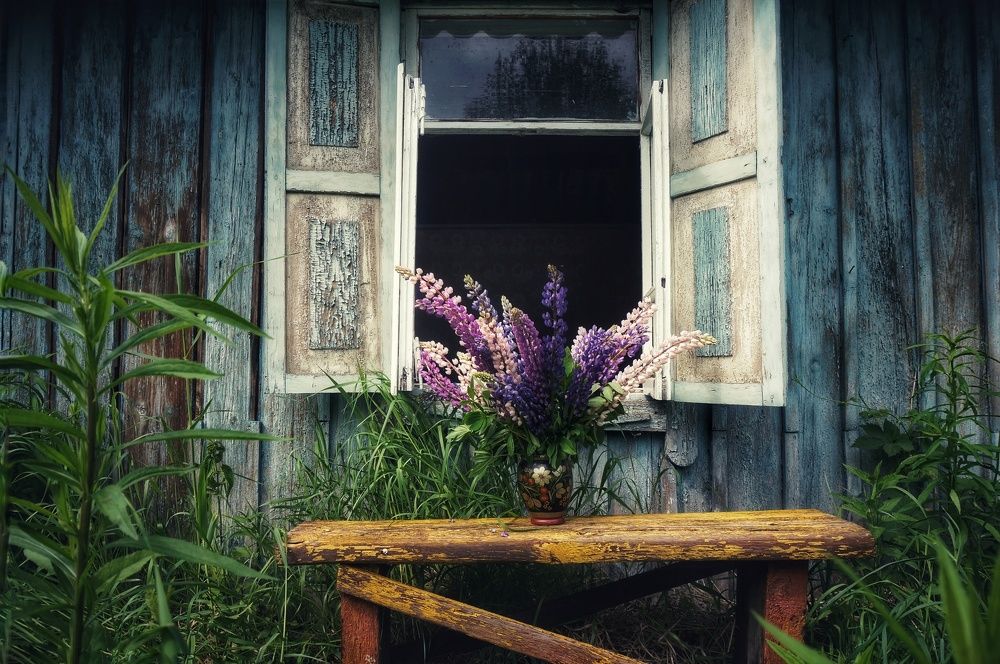 Photograph by Елена Дымова