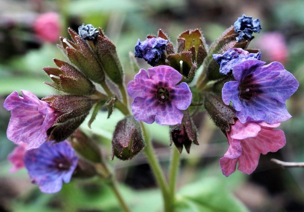 Photograph by вадим аврахов