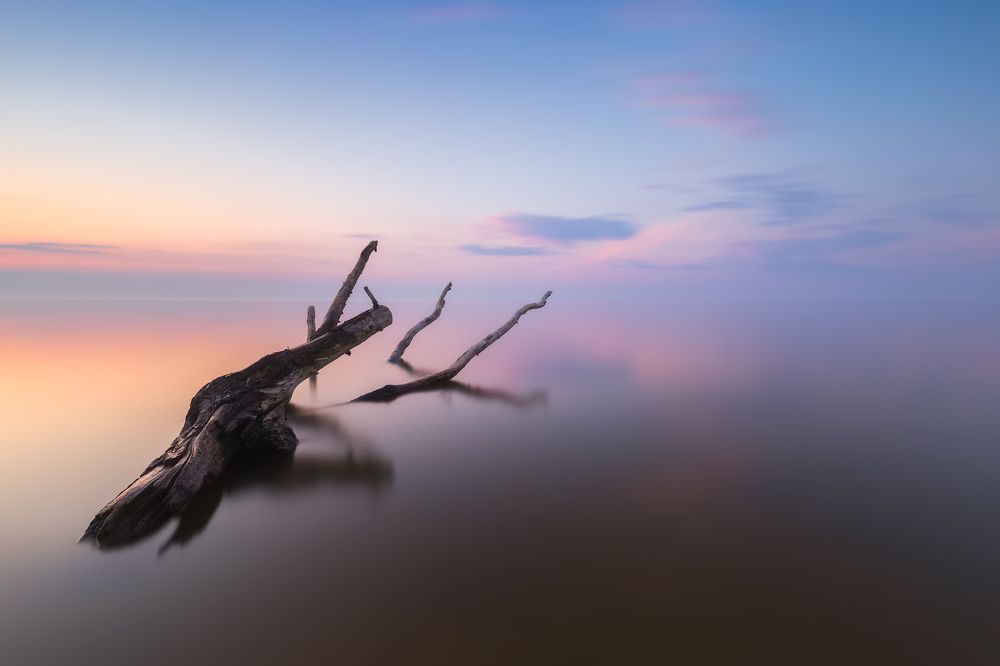 Безмолвный берег.