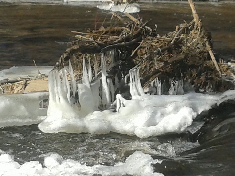 Photograph by Рутковская Жанна