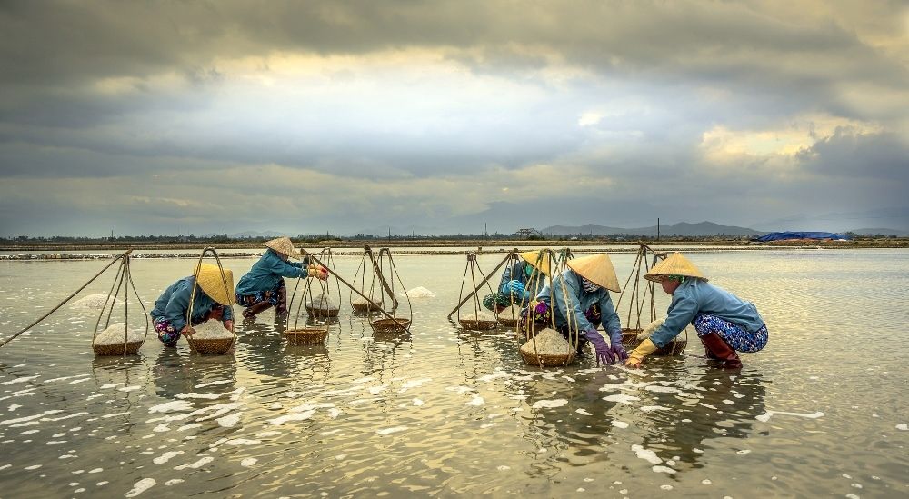 Working in the Salt Fields