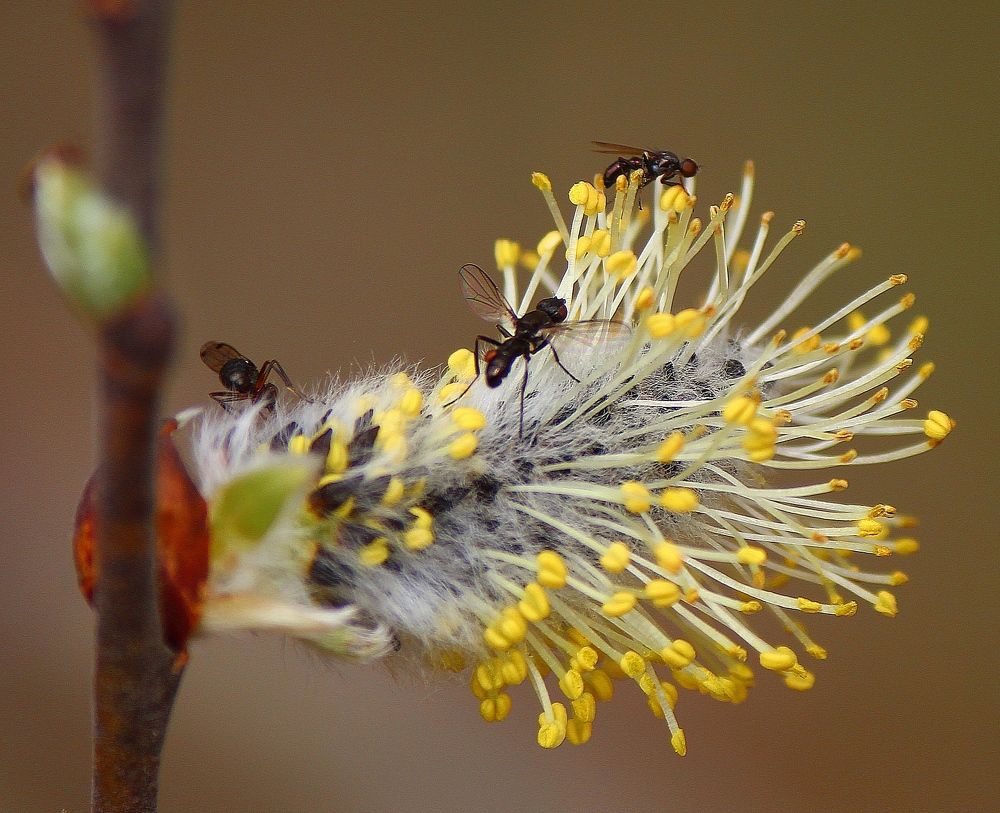Photograph by Андрей Казанкин
