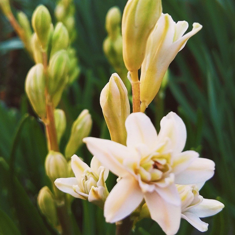 Beauty in simplicity