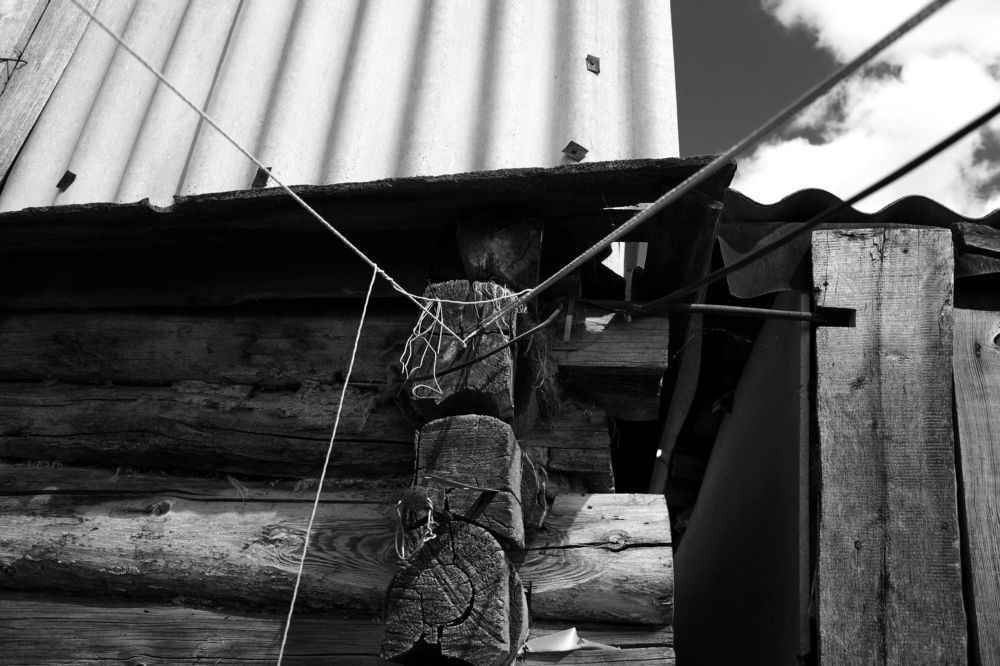 Photograph by Anastasia Patrina