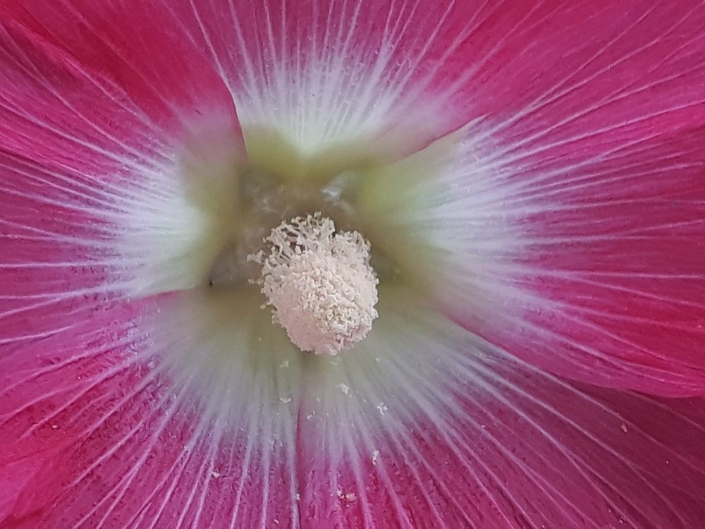 Macro work with mobile