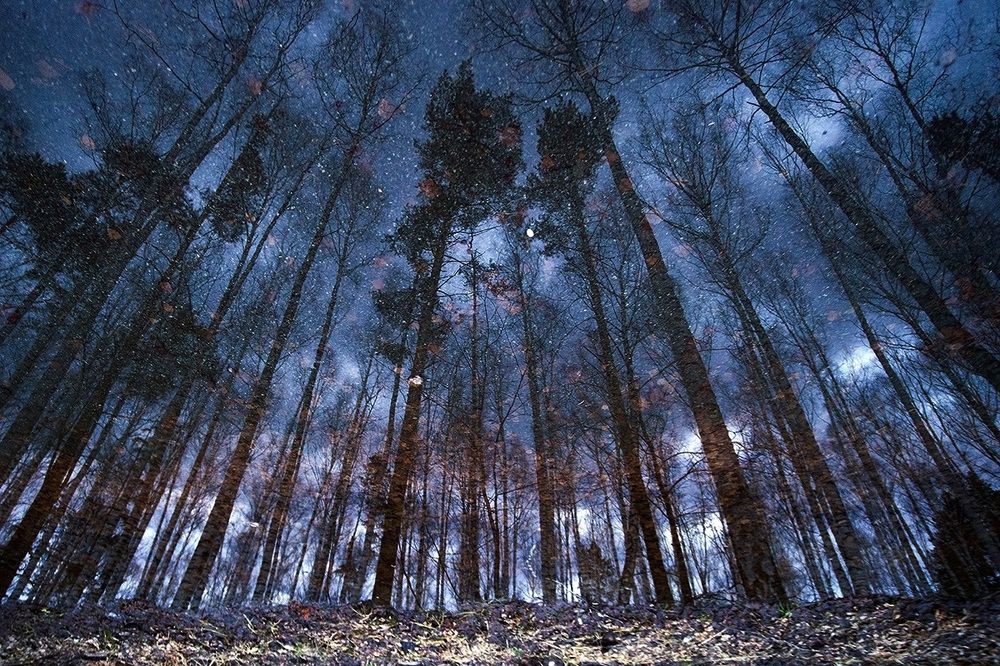 Призраки осенних звезд