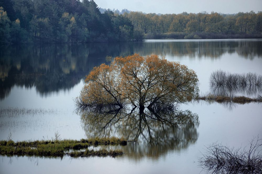 А  зори здесь тихие.
